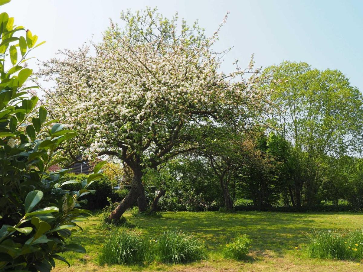 Ferienhaus Extrazeit_Urlaub Hasselberg  Εξωτερικό φωτογραφία